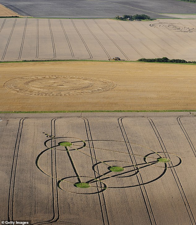 Lord Rees says it's unlikely aliens would travel all the way to Earth just to make a crop circle and visit 'one or two known gliders'