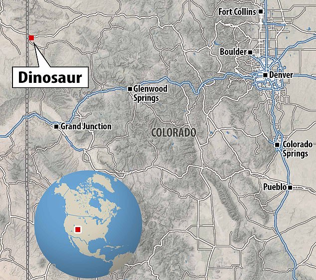 1717429978 670 The largest stegosaurus skeleton ever found which stretches 23 feet