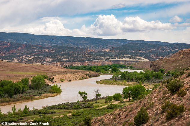 Pictured: Dinosaur National Monument, Colorado, where Apex was discovered two years ago