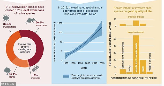 A 2019 estimate of the financial impact of non-native invasive species worldwide was more than $423 billion, but the UN warned this is likely a 