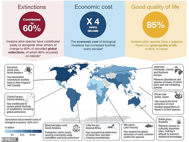 Invasive alien species, alone or together with other drivers of change, have contributed to 60 percent of recorded global animal and plant extinctions