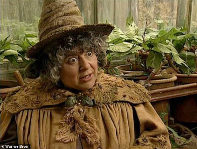 The actress, who played Professor Sprout in the critically acclaimed film series, admitted: 'I worry about Harry Potter fans'