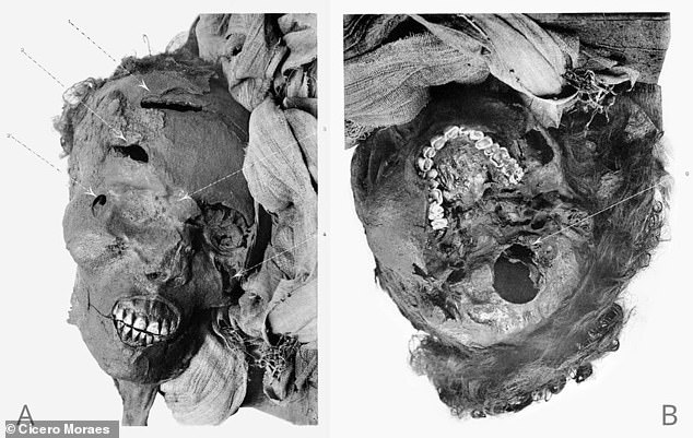 The team drew information from previous research to understand how the death unfolded, which showed that the first ax blow occurred in the lower right frontal area and left cheek.