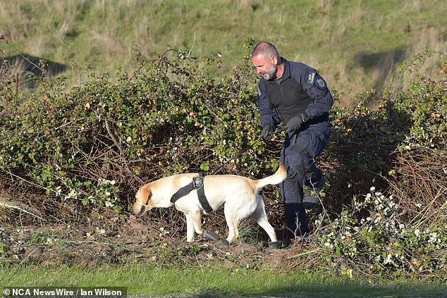 Victoria Police search crews use sniffer dogs during a targeted search on May 29