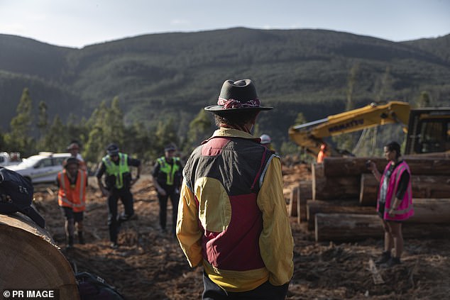 As part of his bail conditions, Everett-puralia meenamatta is banned from entering Forestry Tasmania's permanent timber production area, which makes up more than 800,000 hectares of public forest in the state.