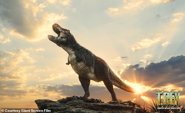 T-Rex may have been the king of the dinosaurs, but little is known about how this iconic predator grew up