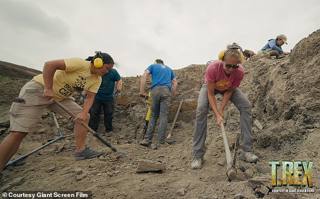 Over 11 days the fossil was excavated by a team of volunteers before being taken by Black Hawk helicopter to a truck for transport