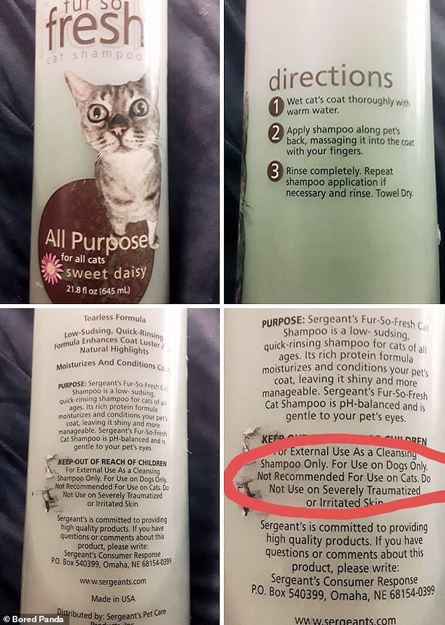 Meanwhile, a cat shampoo from the US, with a picture of a cat on the bottle, specifically warned not to use on cats in the fine print