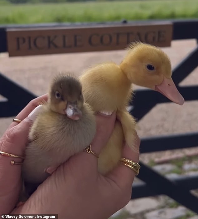 The Loose Women panelist, 34, has built her Pickle Cottage and recently housed two ducks - for which she has already built a playpen