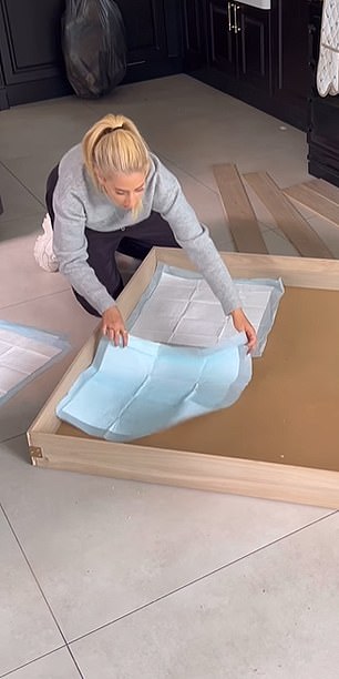 Stacey puts cushions on the box