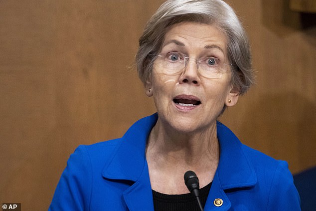 Senator Elizabeth Warren (pictured) and eight Senate colleagues sent Navient a letter last month asking questions about the school misconduct dismissal program