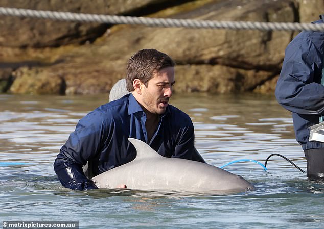 Ryan is seen here guiding the fake dolphin into position