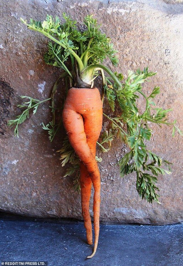 The misshapen root vegetables (pictured) look particularly sultry in shape and certainly can't be accused of being couch potatoes with the poses they apparently strike