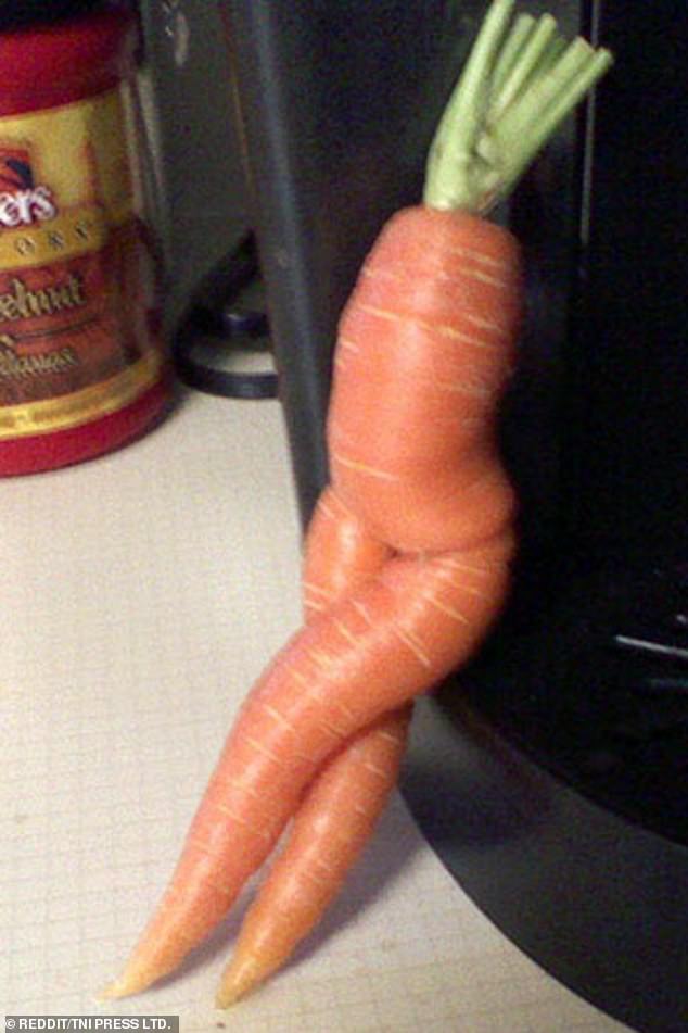 Another carrot appeared to be shaped like a body as it leaned against a kitchen appliance