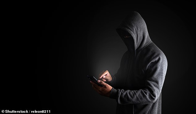 Hours after a mobile phone was taken by thieves, hackers took out a £25,000 loan