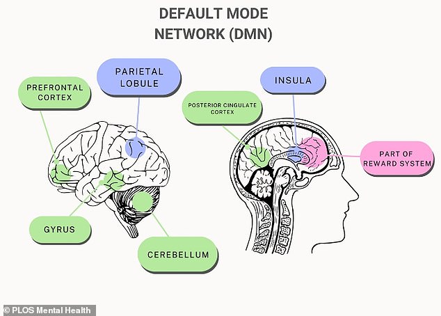 The literature review focused on 12 neuroimaging studies in Internet-addicted adolescents that examined changes in connectivity between brain networks