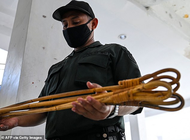 If found guilty of armed robbery, Pacheco faces between three and fourteen years in prison and at least twelve strokes of the cane (a file image of a rattan cane is shown)