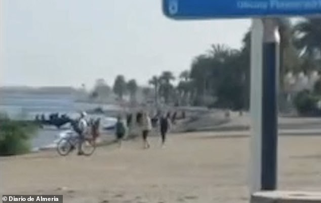 Beachgoers watched as the powerful motorboat (left) came ashore