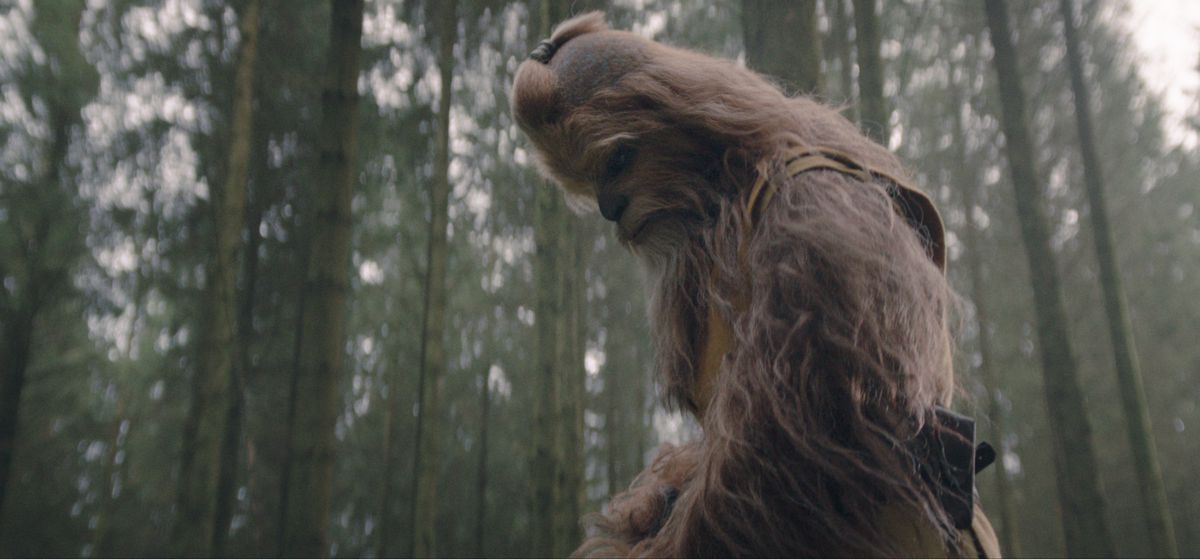 Jedi Master Kelnacca (Joonas Suotamo) looks down into a forest