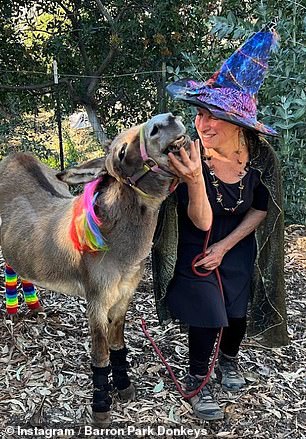 Perry, whose full name is Pericles, came to the pasture in 1997 as company for another donkey