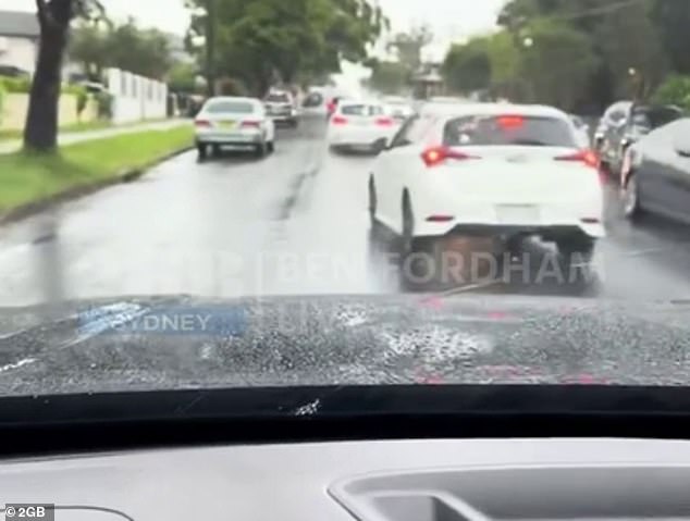 A white hatchback was seen overtaking the vehicle on the dashcam and stopping on the road