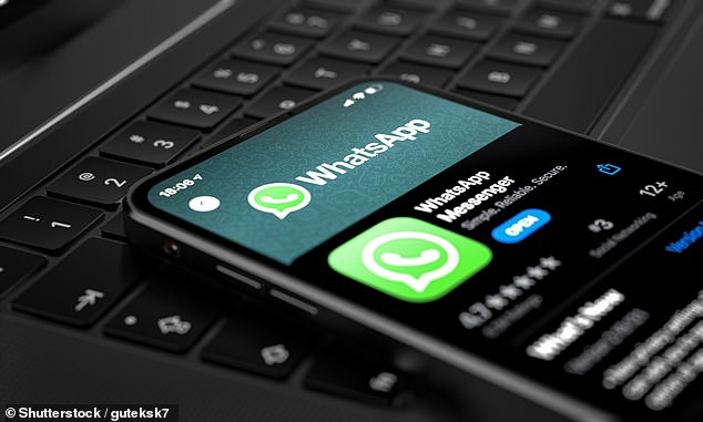 WhatsApp is one of the most popular encryption apps that offers end-to-end encryption that keeps phone calls, messages and other data private to everyone, including the app itself