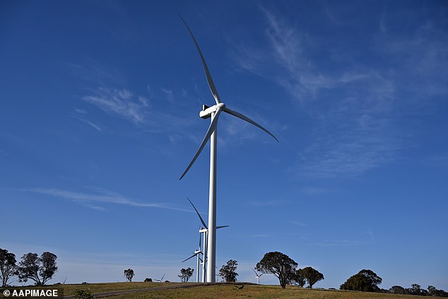 Social media users have criticized Mr Albanese for his post, with many claiming Labor's wind turbine and solar panel farms are causing just as much damage to the landscape (pictured, wind turbines south of Goulburn in NSW's Southern Tablelands)