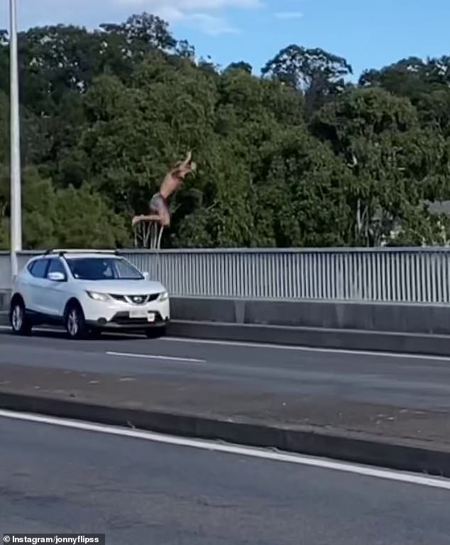 Police have warned motorists who filmed a man jumping from the Currumbin Bridge (pictured) that they could be jailed for helping the man take part in the dangerous stunt