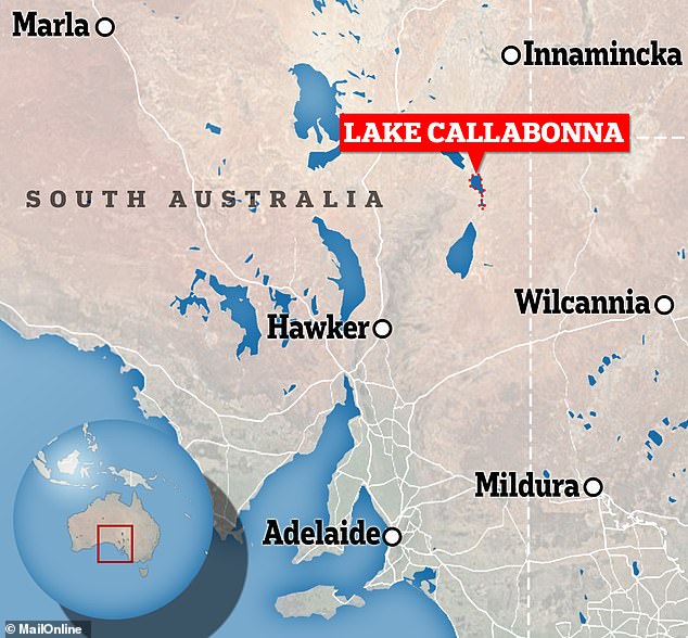 Researchers unearthed the newly found giant skull from the salty, dry beds of Lake Callabonna, a remote area in the outback of South Australia