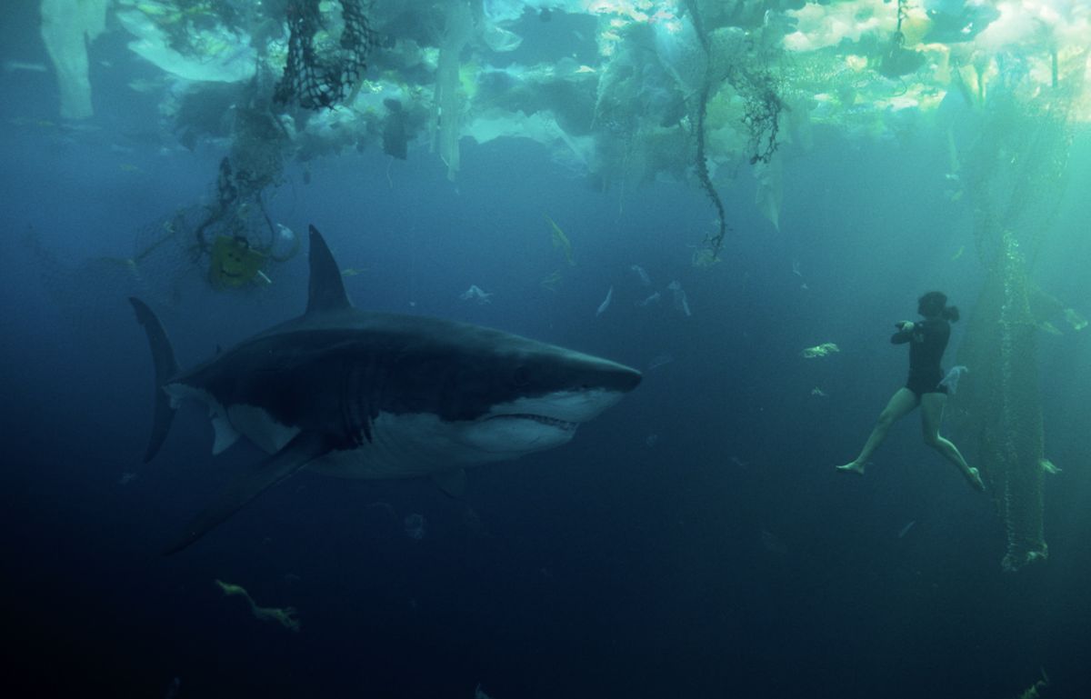 Sophia (Bérénice Bejo), a tiny figure in a black diving suit, hangs beneath the surface of a trash-filled stretch of ocean as an immense shark approaches her head-on in Xavier Gens' Netflix shark thriller Under Paris