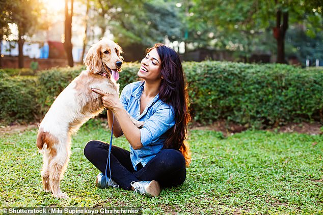 Many wondered how people's dogs were supposed to be transported between the permitted and prohibited zones (stock image)