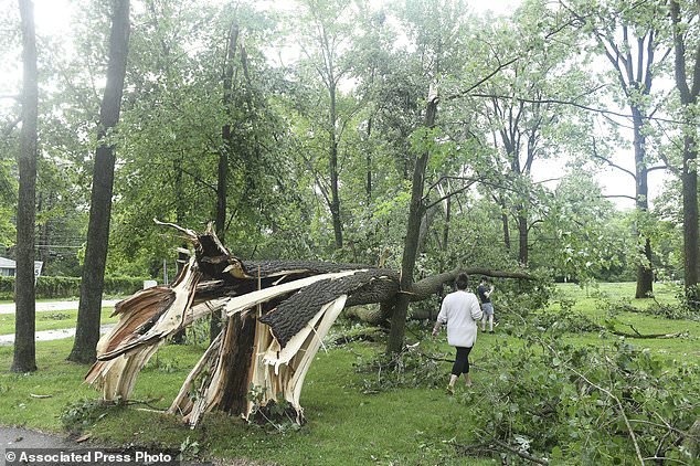 Laure Hibberd and her son Johnny Hibberd walk past a fallen tree in Rotary Park after a tornado ripped through the area in Livonia, Michigan