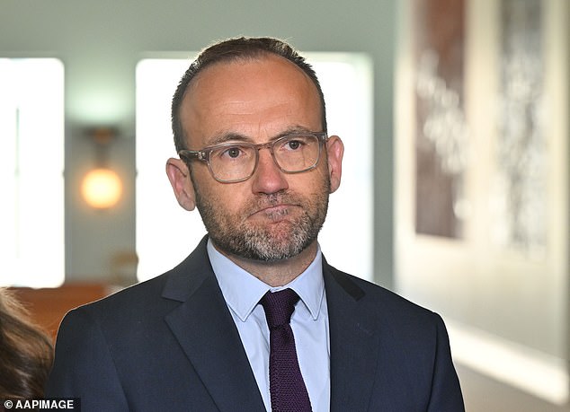 Adam Bandt (photo) is accused of inciting violence and fomenting division