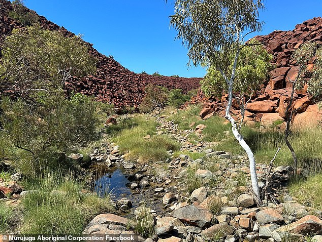 Claims Indigenous Owners Are Being Sidelined In The Process To Inscribe ...