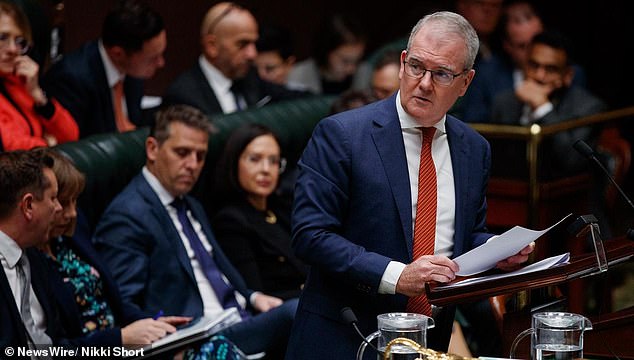 NSW Attorney General Michael Daley (pictured, standing) said the new laws would make people safer