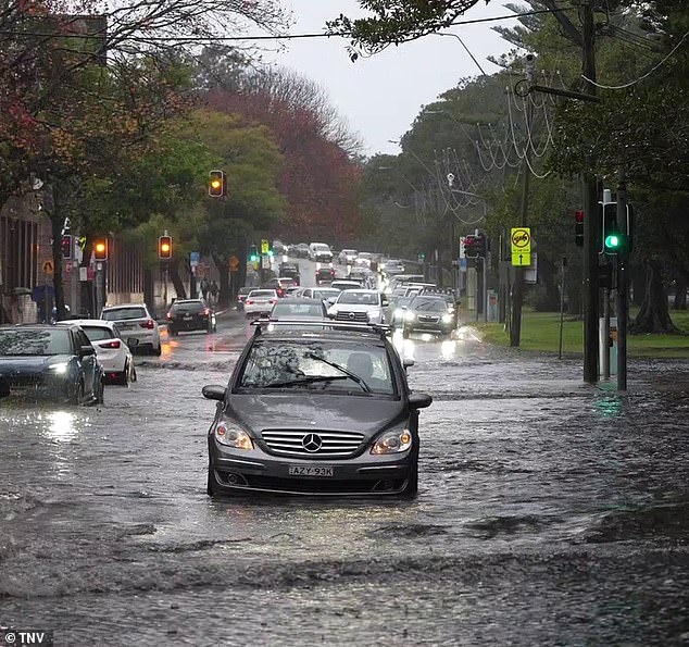 Sydney has already seen unusually heavy rain this week (photo is Moore Park)