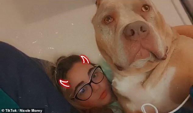 XL Bully owner Nicole Morey was killed by her dog as she returned home from a night out