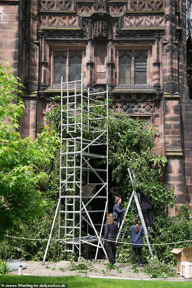 Temporary scaffolding has also been erected near the cathedral while workers pruned plants in preparation