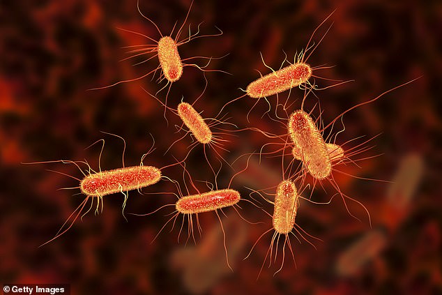 Officials have not yet traced the source of the outbreak of Shiga toxin-producing E.coli (STEC), a rare variant of the diarrhea-causing insect.  But they believe it is related to a 'nationally distributed food product' or 'multiple food products'