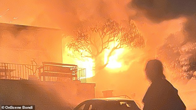 Emergency services responded to a house fire in Bondi, Sydney's east, in November 2022, when the property and an adjacent house were significantly damaged (pictured)