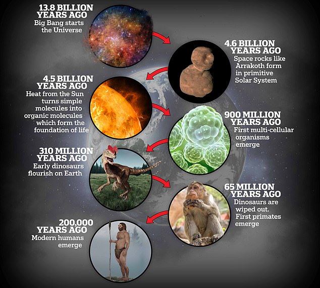 This discovery makes an object like Arrokoth a strong candidate for the origin of the molecules that sparked life on Earth