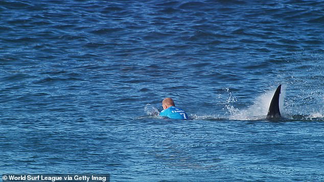 Mick faced death in July 2015 when he fought a great white shark (pictured) during the final round of the J-Bay Open in Jeffreys Bay, South Africa