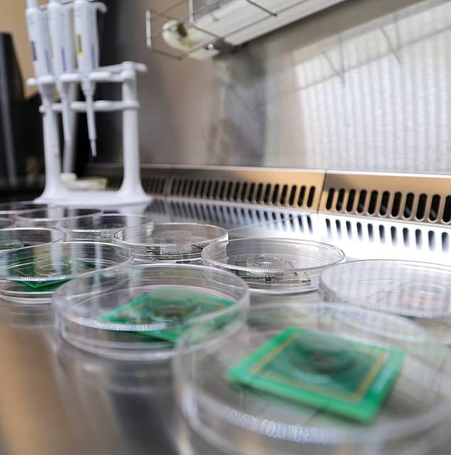 The 'organoids' are accessible online (Photo FinalSpark)