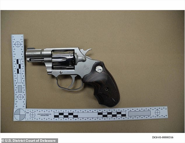 A photo of the weapon entered into evidence at trial