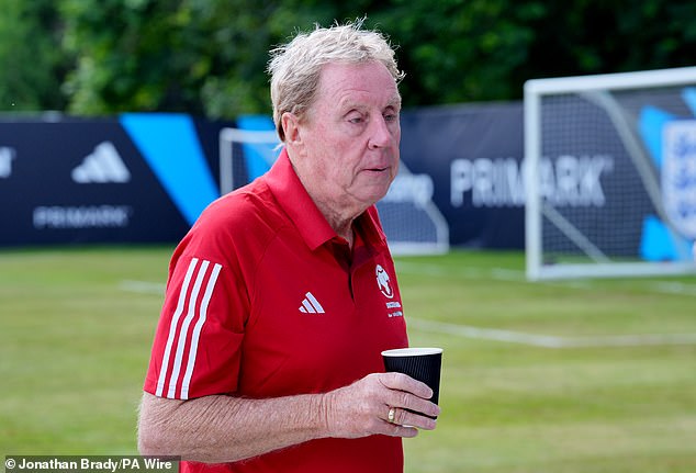 Harry Redknapp stated that he is disappointed that Harry Maguire has not been included in the squad