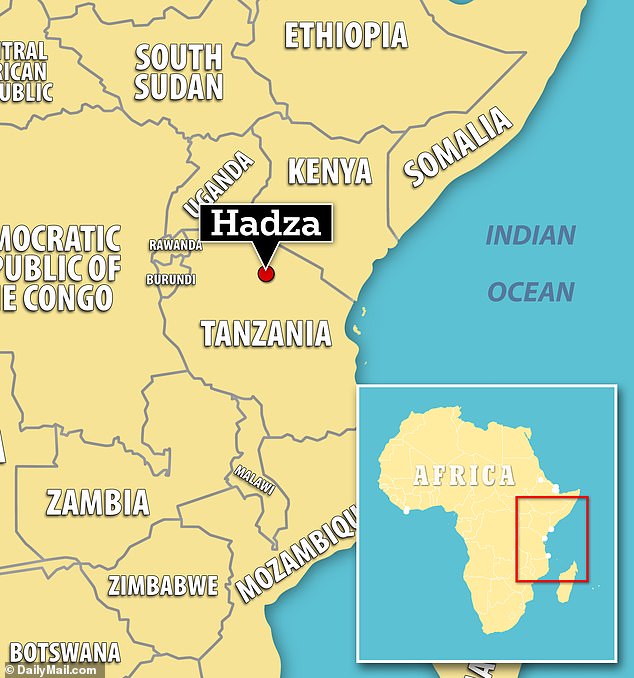 Ruhi reveals that there has been a decline in the animal population in the region where the Hadza people live, due to 'neighboring tribes cutting down trees and driving out wildlife'