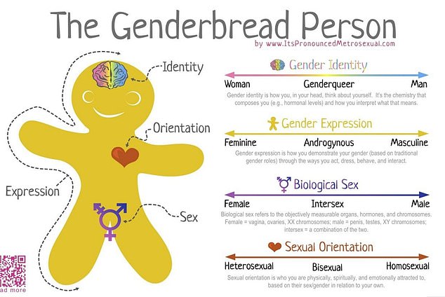 The 'Genderbread Person' teaches young people about intersex and 'genderqueers'