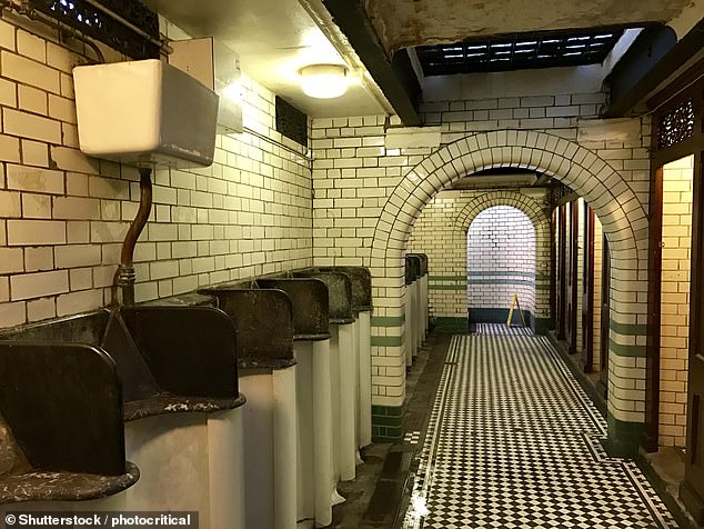 Cara and Jeremy were impressed by the quality of public toilets in Britain.  Above - Victorian public toilets on Hampstead Heath, London