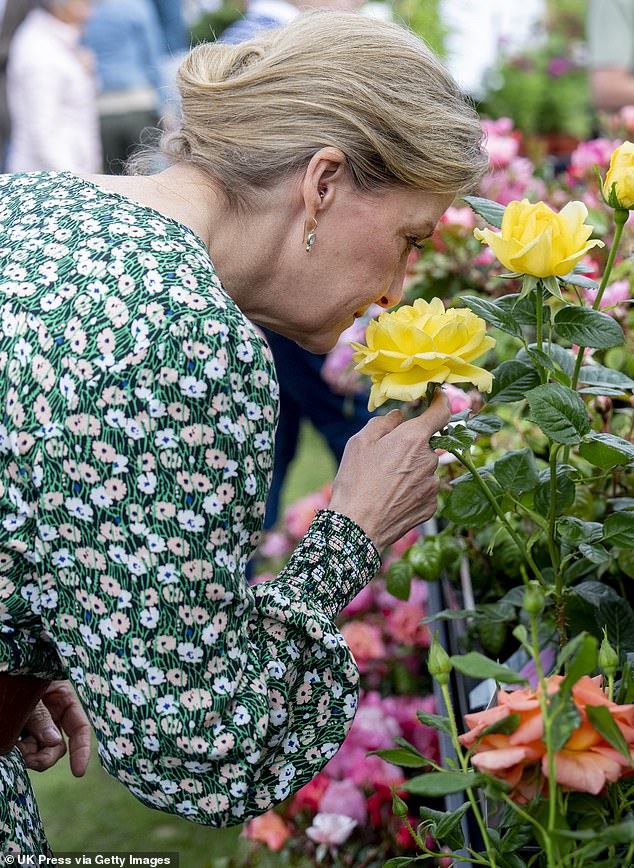 The royal was snapped smelling one of the flowers - a yellow rose - while enjoying the flower show