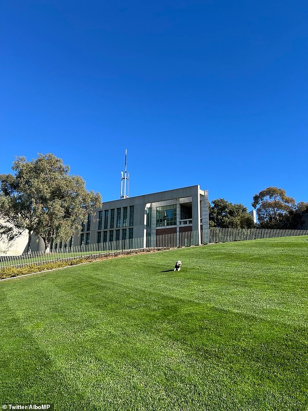 Mr Albanese, who shielded his eyes from the harsh winter sun behind sunglasses and a cap from his beloved South Sydney Rabbitohs, captioned the post on